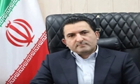 کاهش مداخله دولت در بازار مرغ و تخم‌مرغ/ برای افزایش سرانه گوشت قرمز برنامه داریم